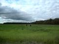Homme dans la savane st-lambertienne