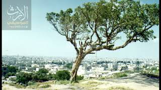  | موسوعة التراث الفلسطيني