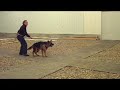 Jaeger - Dog Boot Camp Graduate 2008