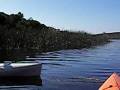 videos de Trout City.MOV