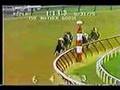 Ruffian - 1975 Mother Goose Stakes