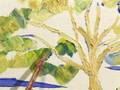 Fine Art Landscape - let's do it step by step