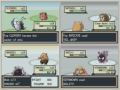 Let-s-race-pokemon-L