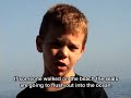la jolla harbor seals   short documentary