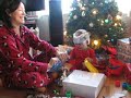 Baby's first xmas, laughing hysterically at ripping wrapping paper