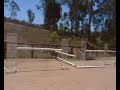 Bellhaven Sanskrit free jumping