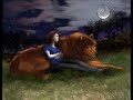 New Moon - Work