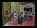 Brosse-Story : la disparition �pisode 2