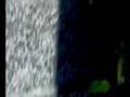 videos de Aventuras em Bal.Camburiu