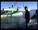 Trimaran Righted