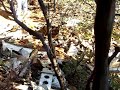 PBM-5 038.avi