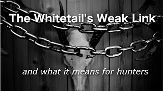 The Whitetail's Weak Link - and what it means for hunters