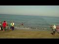 videos de Teamwork in traditional fishing in the Philippines