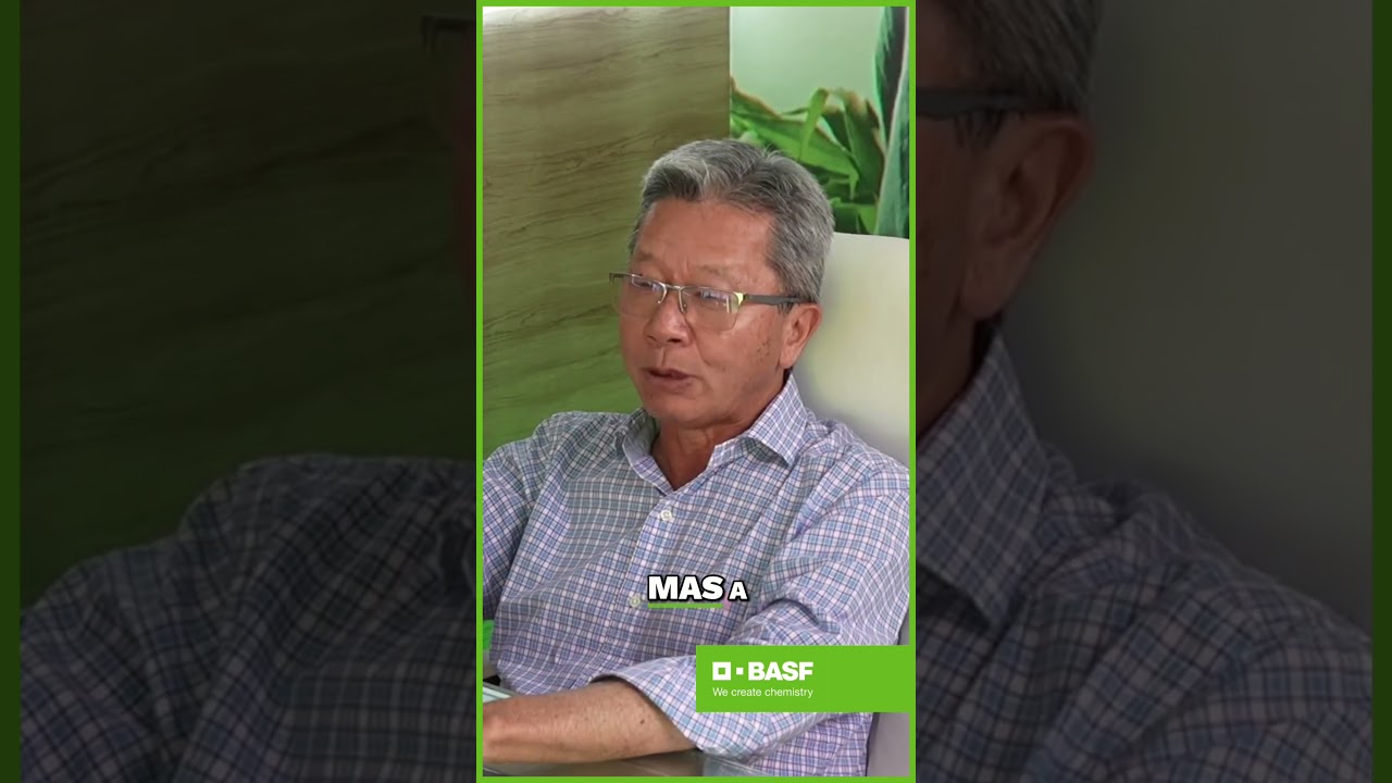 Algodão: Lições Cruciais para o Sucesso Agrícola #BASF