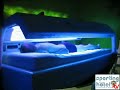 Sporting Hotel Tonale - il Tuo wellness hotel sulle piste