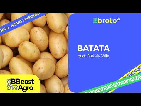 Batata: colheita em ritmo firme e custos exigem planejamento financeiro | BBcast Agro - 29/07/2026