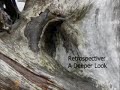 google howto agile retrospectives making good