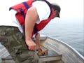 How to Fish For- and Catch Flounder