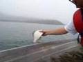 How to fish for- and catch Flounder