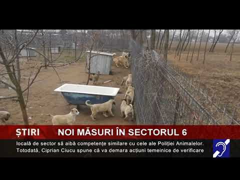Măsuri pentru ecarisaj, în Sectorul 6