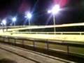 videos de greyhound trial