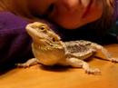We love you, Ricki (beardie has cancer) Salivary Gland Cancer