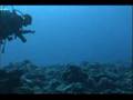 PALAU 200706c