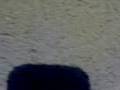 videos de en el baño