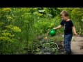 Shirodhara - Come join us and reconnect with nature