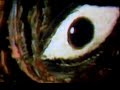 mescaline art 1998 -2 mescaline art 1998 -2