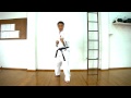 Fmnk tecnicas basicas de nippon K. no 1 Video