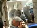 videos de Roma, Emergenza casa. Occupazione assessorato alla casa il 25 settembre 2008 -RomaUno TV-
