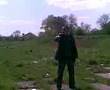 Boski Gegory