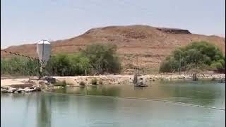 في محيط قرية الفاتور المهجرة  قضاء بيسان  وبجانب بركة عين غدرة | بروفيسور مصطفى كبها