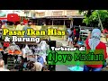 Pasar Ikan Hias Di Madiun
