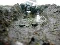 RC FORD F350 HIGHLIFT- p4 -bayhead uist- playing in the mud