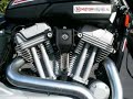 Harley Davidson XR1200 Harley Davidson XR1200