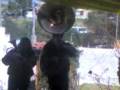 videos de las mañanitas
