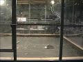 Upchuck Vs Vapor Trail