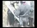 Pestaggio_dei_Poliziotti_al_g8_di_Genova