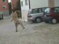 calcio freestyle