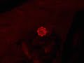 gears-of-war-en-una-7600gt.html