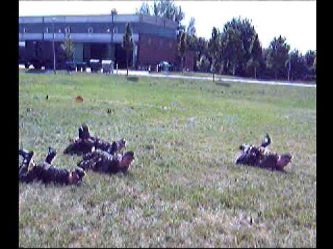 Watch 'Lustige Fortbewegungsart bei der Bundeswehr'