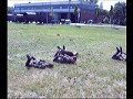 Watch 'Lustige Fortbewegungsart bei der Bundeswehr'
