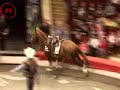Girls - Horse riders