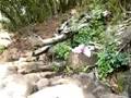 videos de hawaii 2k8