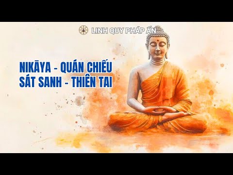 NIKAYA - Quán Chiếu Sát Sanh - Quả Báo Ác Nghiệp *