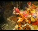Claw Machine Scotland #07