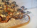 Bonsai Tree Sculpture #55 by Jim Shull
