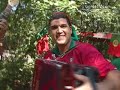 Os Panteras - Viva a Nossa Tradição Os Panteras - Viva a Nossa Tradição
